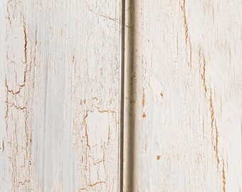 Moon Garden Marker Plant Stake