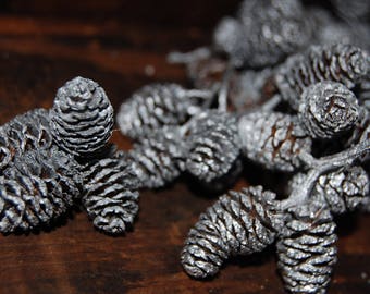 100 Silver Alder Cones, Small Silver Painted Pinecones, Pinecone Clusters, Mini Pinecones