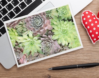 Succulent Card, Photo Notecard, Blank Greeting Card, Photo Greeting Card, Floral Photo Notecard, Stationery, Blank Notecard, Cactus Card