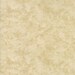 Once Upon a Memory Fabric by Holly Taylor for Moda Fabrics - 100 Percent High Quality Cotton Product No. 6538 142 Natural