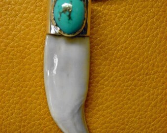 Large .925 Sterling Silver capped 3" tooth with a beautiful Kingman Turquoise Pendant