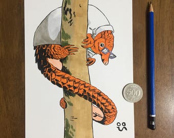 Doctor Pangolin - Original Drawing