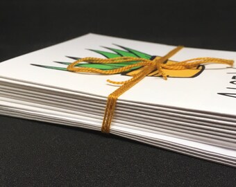 Set of 10 Blank Note Cards