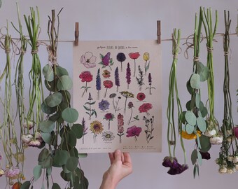 Québec Flowers (kraft cardstock)