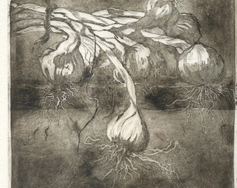 Original Etching "Garlic'