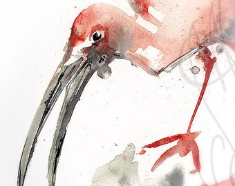 Martinefa's Original watercolor and Ink "Ibis"
