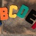 Custom Listing for 7 Individual Hand Embroidered Brushed Matte Chenille Letters 4.5" Individual Letters Canvas