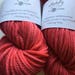 Elliebelly Talia Bulky Merino Yarn - "Rosy"