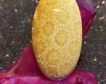 Fossil coral cabochon