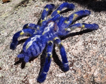 Gooty Sapphire Ornamental Blue Tarantula Spider Needle Felted Wool Animal By Carol Rossi Created Just For You!