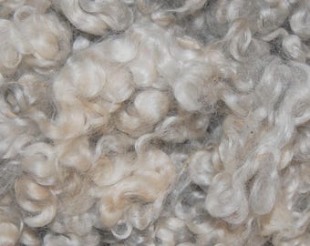 Cotswold Wool Locks, Spinning Fiber, Felting, Wool Doll Hair, Doll Wig, Santa Beards, Blythe Reroot, White with traces of Silver Gray 8 oz