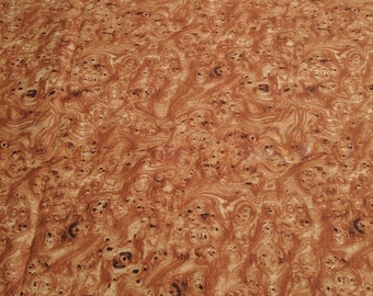 Knotty Intentions-Brown Wood Knots Cotton Fabric (20621) designed by Deborah Edwards for Northcott