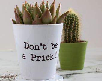 Personalised Typewritten Plant Pot, Witty Inspirational Plant Pot, Plant Pot With Quote, Gardening Gift, gift for dad
