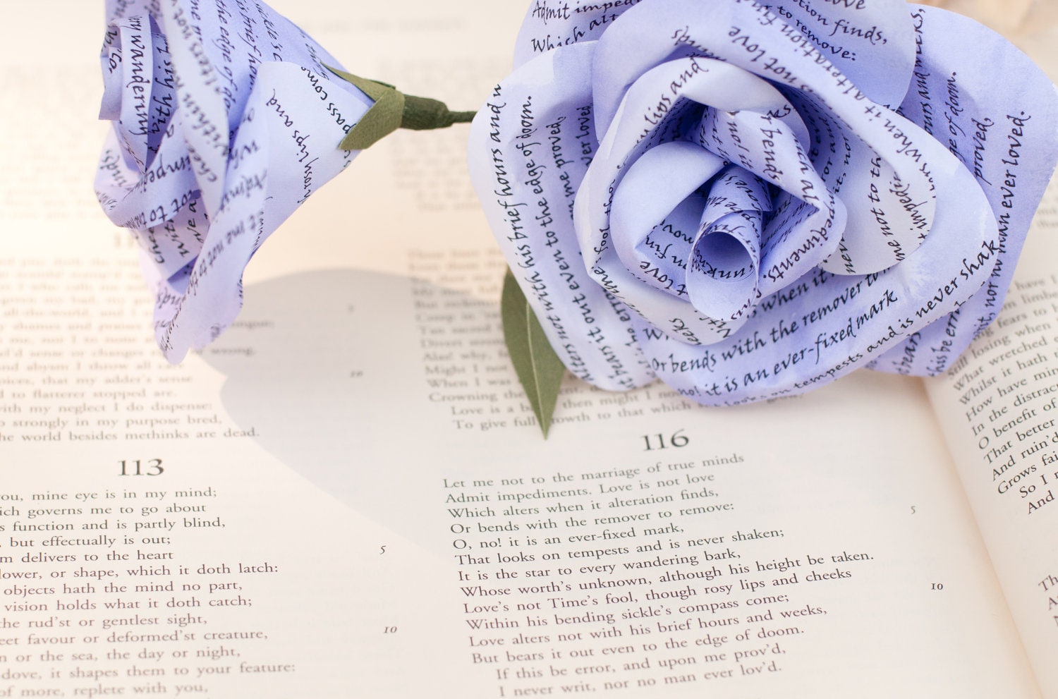 Custom shakespeare essays
