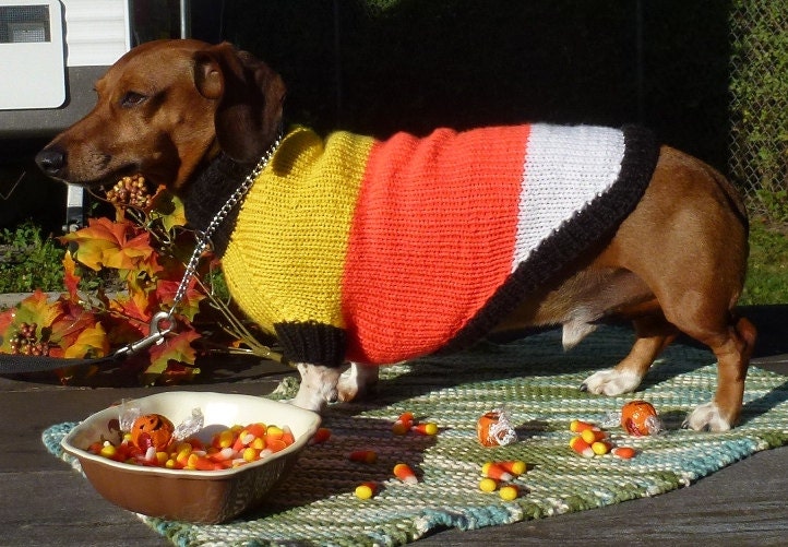 Halloween Candy Corn dog sweater
