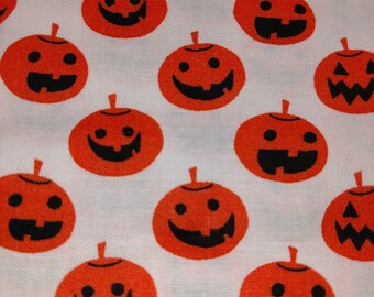 Jack O'Lanterns on White Background