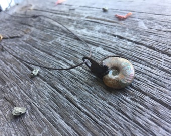 Copper Ammonite Necklace