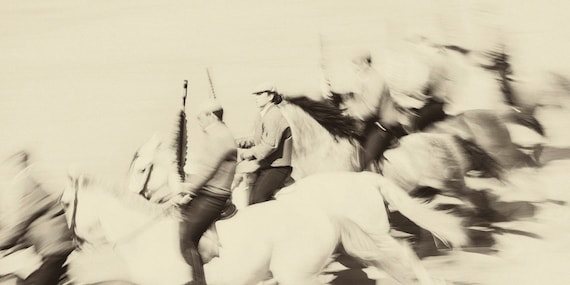 Horse Prints , "ANDALUCIAN HORSE ART 1". Spanish Horses, Equestrian Print, Equine Art, Photographic Print, Sepia Tone,