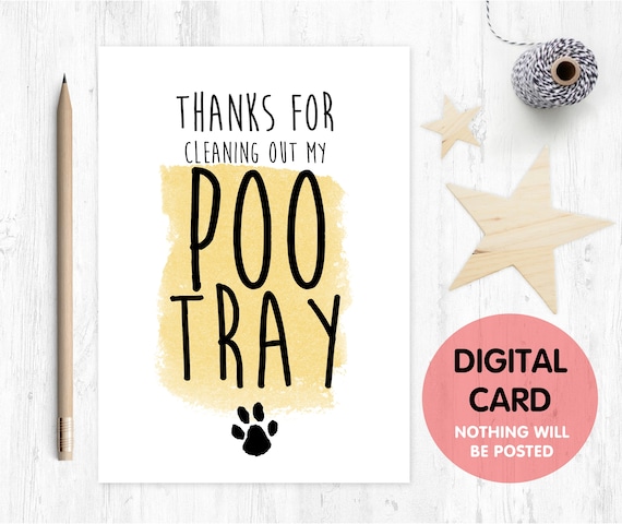 father's day card printable cat dad father's day card digital download birthday card from the cat thanks for cleaning out my poo try funny