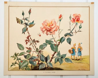 Eileen Soper vintage 1950s classroom educational poster - roses, elves, pixies - FREE SHIPPING