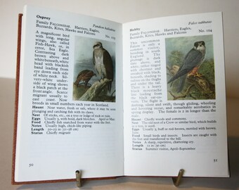 Birdwatching Guide Book Vintage Nature Hardback Ornothology Bird book gift stylish
