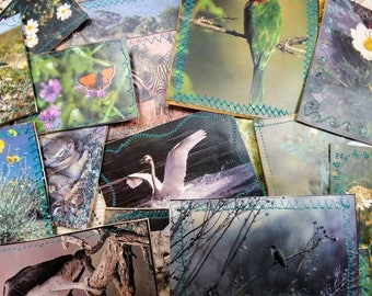 Nature & Animal Journaling Cards ( Set of 30 )