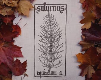 Saturnus-Equisetum Arvense PLANHERBARIUM linocut Print