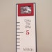 Ruler Growth Chart for boys with frame