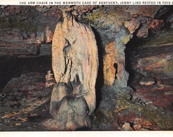 Vintage Postcard The Arm Chair in the Mammoth Cave of Kentucky Unused