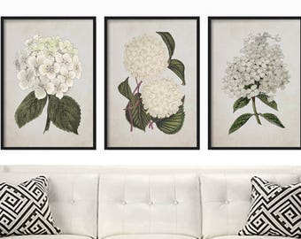 Farmhouse Decor - Botanical Print Set - Wall Hanging - Prints - Home Decor - Wall Art Print - Vintage Print - Rustic Decor - Farmhouse Decor