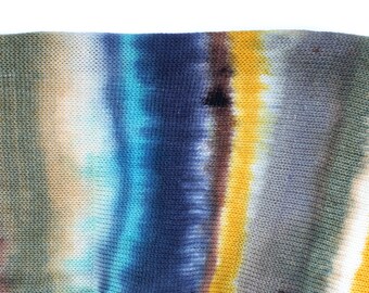 Sock Blank/ VAGABOND 463 yards on Posh Sock Yarn, merino hand painted