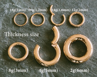 2pcs 16g 18g 14g 12g 8 4 0g Gauge silver rose gold tragus helix cartilage daith conch clicker nose round hoop septum jewelry ring earrings