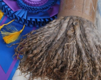 8 oz Silver Mohair Locks / Kid Mohair Locks / Soft Long Lustrous Bundle / Dye Wash Comb Spin Tailspin Art Yarn / Reborn / Reroot / Doll Hair