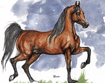 Bay arabian horse, equine art, horse portrait, equestrian, original pen and watercolor painting