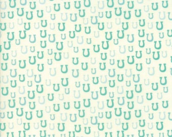 Howdy (20555 21) Porcelain Spray Horseshoes by Stacy Iset Hsu