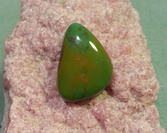 Turquoise Cabochon KTC2D