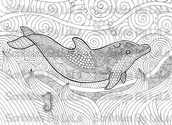 Printable Adult Coloring Page Dolphin High Quality PDF