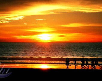 Nature Photography. Beach Photography. Summer Photography. Sunset Photography. 8x12 Print