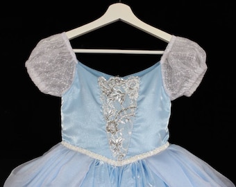 Cinderella Costume 2015 Cinderella Dress Tween Teen Adult