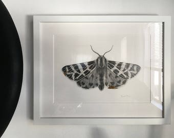 Framed "Kintsugi" Original Graphite / Pencil Moth Drawing w/ 24kt Gold Leaf