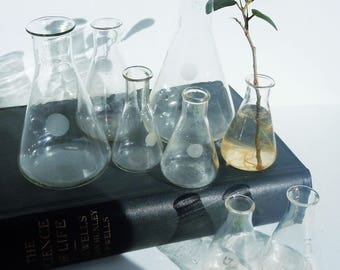 Science Glass / 8 Beakers /3 Sizes / Pyrex Laboratory Glass / Great Scientific Decor and Style