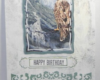 Hawk Birthday card