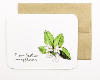 Nova Scotia | Mayflower | Flowers of the Provinces and Territories card with envelope | Canadian flowers