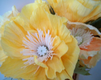 Bright Yellow Icelandic Poppies Large flowers that will brighten any room.