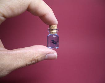 Manta ray and diver are in a tiny bottle ver.2