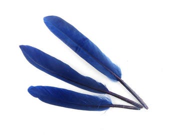 10 x 10-17cm (71F) Midnight Blue goose feather