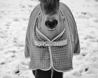 13 X 18, A4, A3, A2, landscape printable file of winter, the first class, art photography .noir and white.