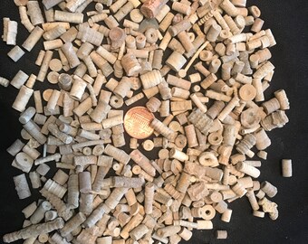 One Ounce Lots of Crinoid Stem Fossils echinoderms from Texas