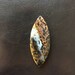Petrified Wood Opal Cabochon