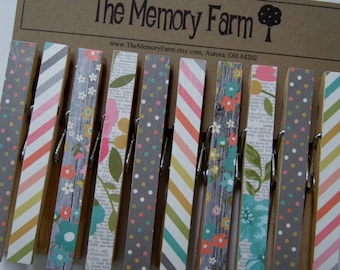 Clothesline Photo Display, clothespin set- Country Gray